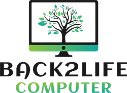 Back 2 Life Computer
